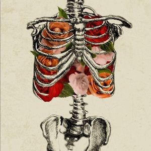 Meet your Posher, Ana